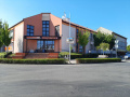 Záhumení